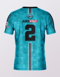 AutoWelt gostinski back